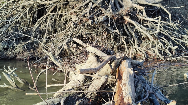 album/03242025/images/IMG20250324184933.jpg