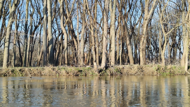 album/04112025/images/IMG20250411192412.jpg