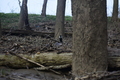 album/04112026/DSC_0019.JPG