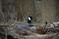 album/04112026/DSC_0031.JPG