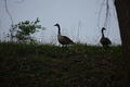 album/04112026/DSC_0044.JPG