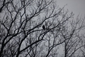 album/04112026/DSC_0073.JPG