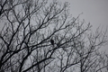 album/04112026/DSC_0077.JPG