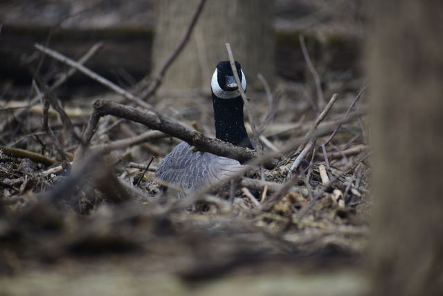 album/04112026/images/DSC_0020.JPG
