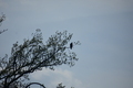 album/04232026/DSC_0218.JPG