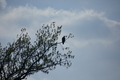 album/04232026/DSC_0236.JPG