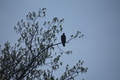 album/04232026/DSC_0274.JPG
