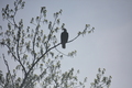 album/04232026/DSC_0281.JPG