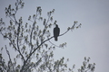 album/04232026/DSC_0282.JPG
