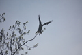 album/04232026/DSC_0286.JPG