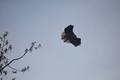 album/04232026/DSC_0287.JPG