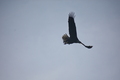 album/04232026/DSC_0288.JPG