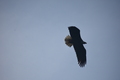 album/04232026/DSC_0289.JPG