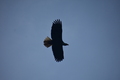 album/04232026/DSC_0290.JPG