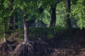 album/04232026/DSC_0439.JPG