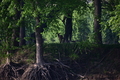 album/04232026/DSC_0444.JPG