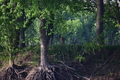 album/04232026/DSC_0457.JPG