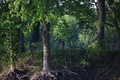 album/04232026/DSC_0463.JPG