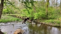 album/04262025/IMG20250426193052.jpg
