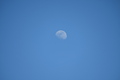 album/04262026/DSC_2222.JPG