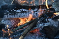 album/04262026/DSC_2243.JPG