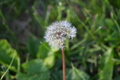 album/04262026/DSC_2255.JPG