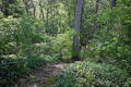 album/04262026/DSC_2257.JPG