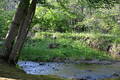album/04262026/DSC_2260.JPG