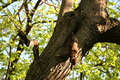 album/04262026/DSC_2269.JPG