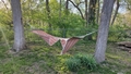 album/04262026/IMG20260426194324.jpg