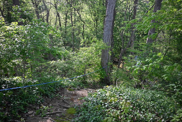 album/04262026/images/DSC_2257.JPG