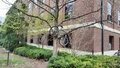 album/04992025/IMG20250409074444.jpg