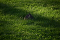 album/04992026/DSC_0054.JPG