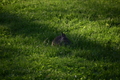 album/04992026/DSC_0055.JPG