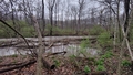 album/04992026/IMG20260404191456.jpg