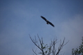 album/05042026/DSC_0230.JPG