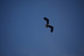album/05042026/DSC_0231.JPG