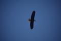 album/05042026/DSC_0233.JPG