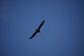 album/05042026/DSC_0234.JPG