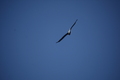 album/05042026/DSC_0235.JPG