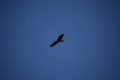 album/05042026/DSC_0239.JPG