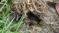 album/05042026/IMG20260504183246.jpg
