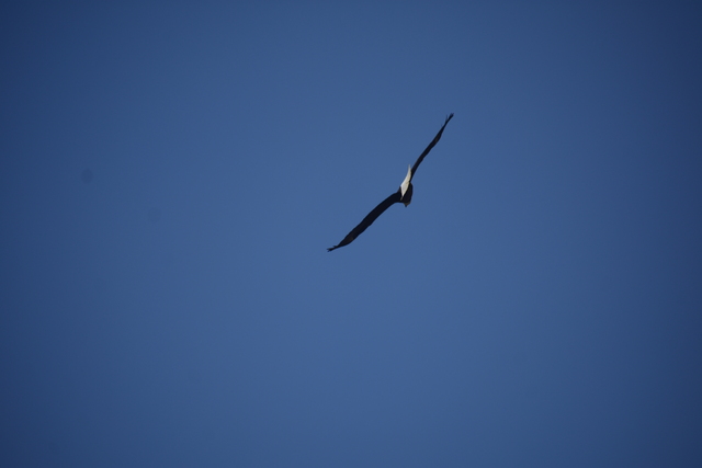 album/05042026/images/DSC_0235.JPG