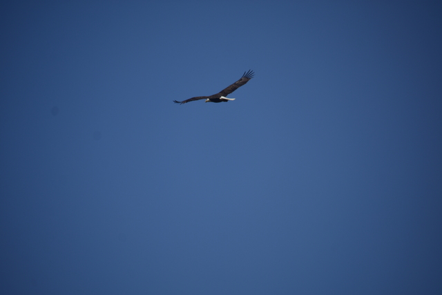 album/05042026/images/DSC_0236.JPG