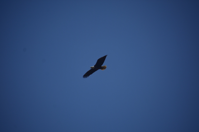 album/05042026/images/DSC_0239.JPG