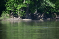album/05102026/DSC_0335.JPG