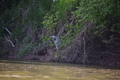 album/05102026/DSC_0351.JPG