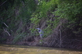 album/05102026/DSC_0354.JPG