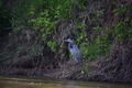 album/05102026/DSC_0383.JPG
