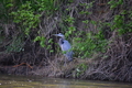 album/05102026/DSC_0391.JPG